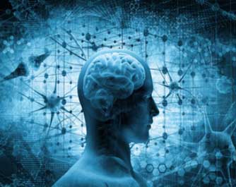Neurologue Hôpital privé du Confluent anciennement Nouvelles cliniques Nantaises et Centre Catherine de Sienne 