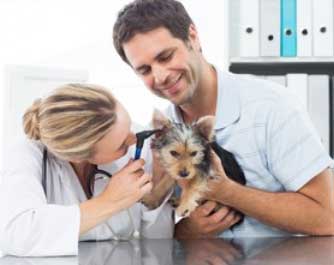 rendez-vous avec le docteur Bockstall Nicolas